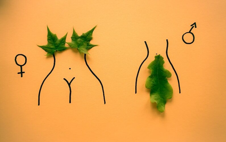 Memamo Coaching_Blog_Bodysex_Celine Manon_Orgasmus_Erregungsmodelle_dainis-graveris